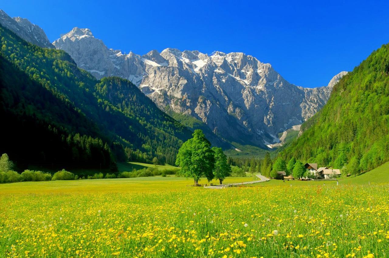 Hotel Planinka Ljubno Экстерьер фото
